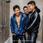 AI IMAGE, 00102 AI 17