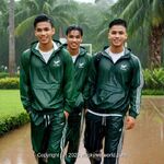 AI IMAGE, 00240 AI 31