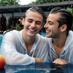 AI IMAGE, 00320 AI 44