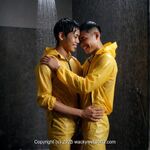 AI IMAGE, 00438 AI 63