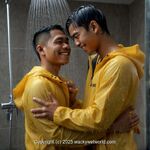 AI IMAGE, 00442 AI 67