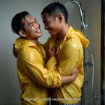 AI IMAGE, 00445 AI 69