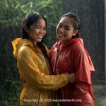 AI IMAGE, 00483 AI 76