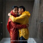 AI IMAGE, 00500 AI 84