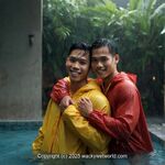 AI IMAGE, 00513 AI 89