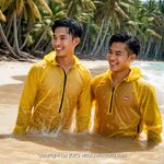 AI IMAGE, 00525 AI 91