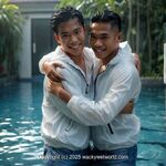 AI IMAGE, 00605 AI 115