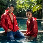 AI IMAGE, 00713 AI 139