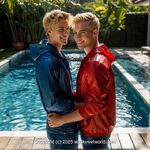 AI IMAGE, 00736 AI 143