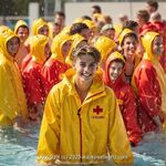 AI IMAGE, 01019 AI 187