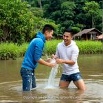 AI IMAGE, 01870 AI 321