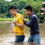 AI IMAGE, 01872 AI 323