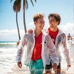 AI IMAGE, 02240 AI 387