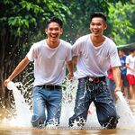 AI IMAGE, 02398 AI 420