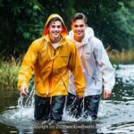 AI IMAGE, 03350 AI 494