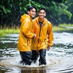 AI IMAGE, 03357 AI 497